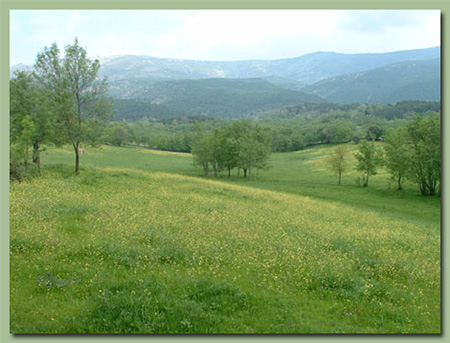Paisajes Paisajes
