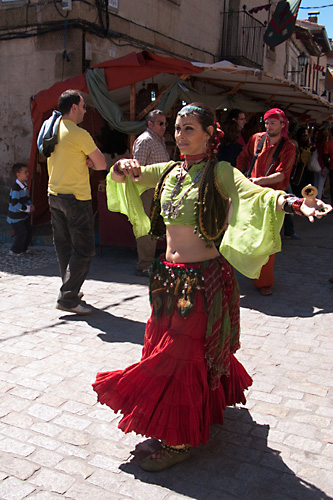  VIII Mercado medieval de La Adrada (2009)