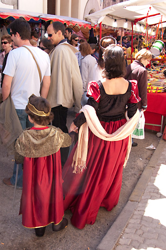  VIII Mercado medieval de La Adrada (2009)