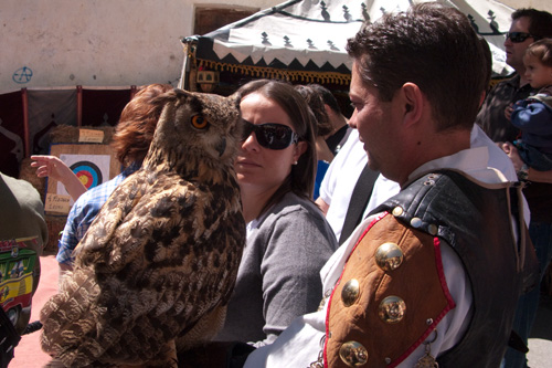  VIII Mercado medieval de La Adrada (2009)