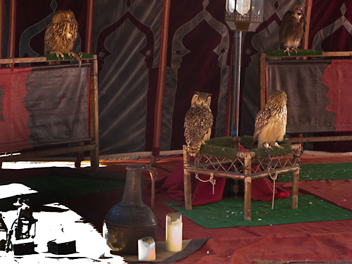  VIII Mercado medieval de La Adrada (2009)