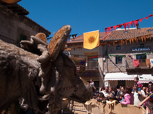  VIII Mercado medieval de La Adrada (2009)