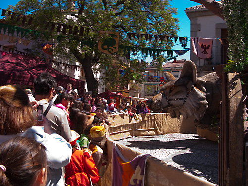  VIII Mercado medieval de La Adrada (2009)