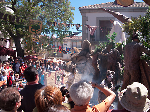  VIII Mercado medieval de La Adrada (2009)