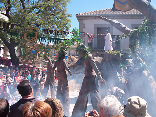  VIII Mercado medieval de La Adrada (2009)