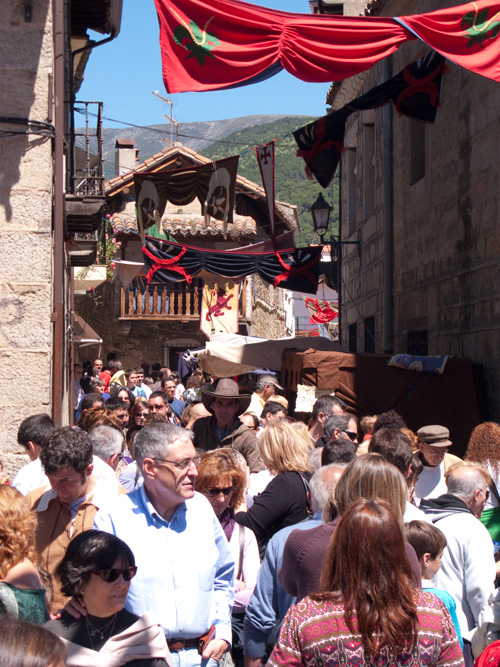  VIII Mercado medieval de La Adrada (2009)