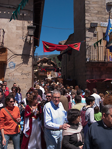  VIII Mercado medieval de La Adrada (2009)
