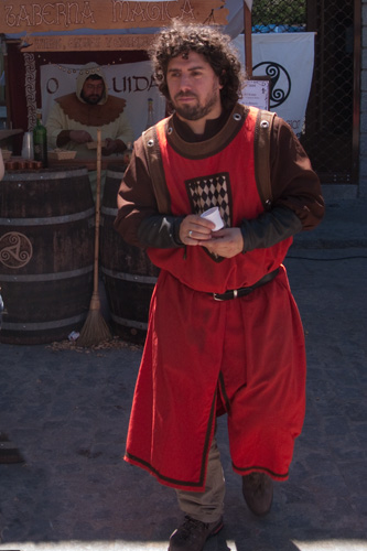  VIII Mercado medieval de La Adrada (2009)