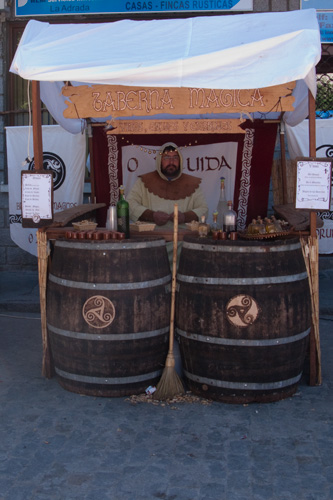  VIII Mercado medieval de La Adrada (2009)
