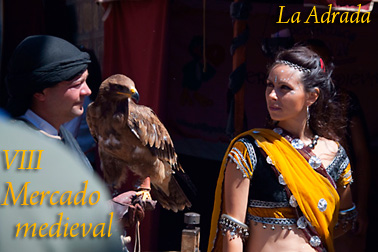  VIII Mercado medieval de La Adrada (2009)