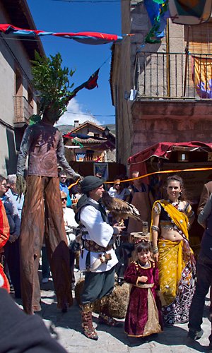  VIII Mercado medieval de La Adrada (2009)