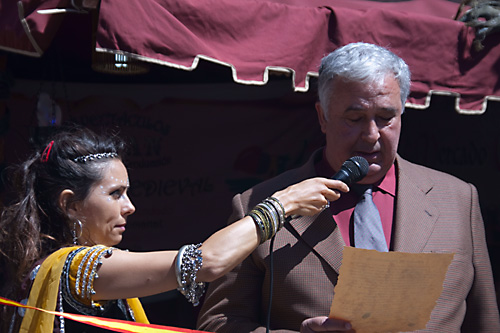  VIII Mercado medieval de La Adrada (2009)