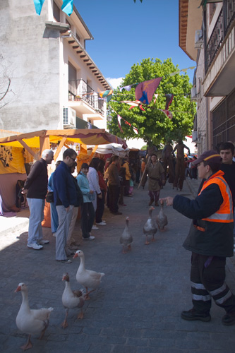  VIII Mercado medieval de La Adrada (2009)