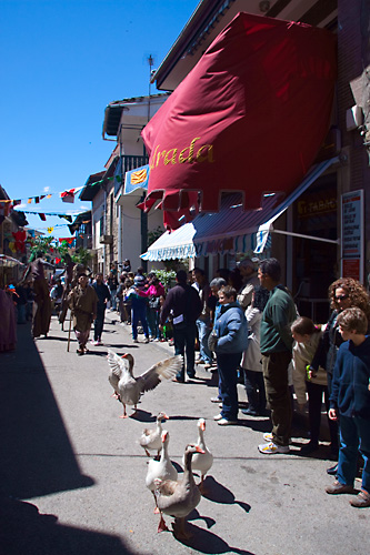  VIII Mercado medieval de La Adrada (2009)