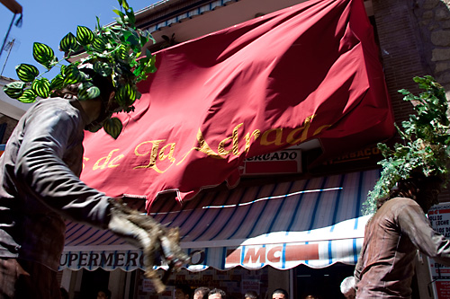  VIII Mercado medieval de La Adrada (2009)