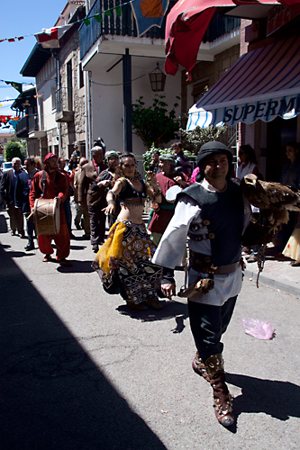  VIII Mercado medieval de La Adrada (2009)