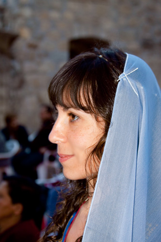 VIII Mercado medieval de La Adrada (2009)