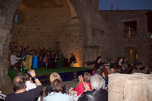  VIII Mercado medieval de La Adrada (2009)