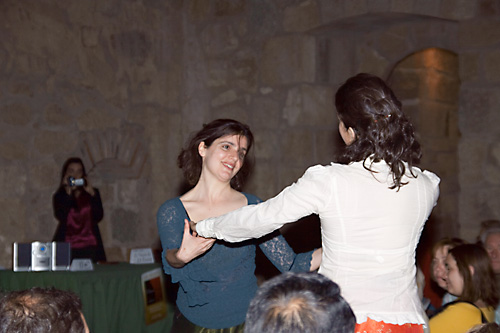  VIII Mercado medieval de La Adrada (2009)