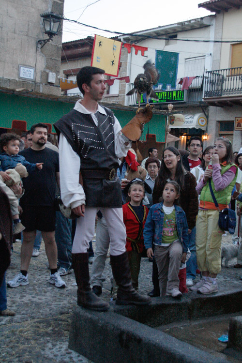  VII Mercado medieval de La Adrada.  