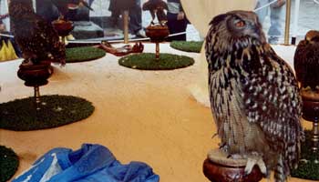  I mercado medieval