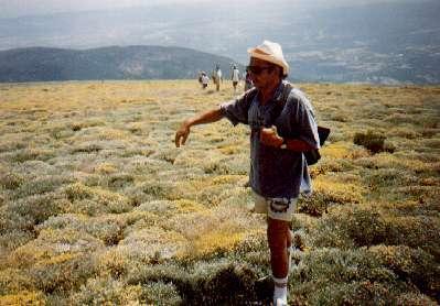 adrada_mirlo2.jpg (69213 bytes)