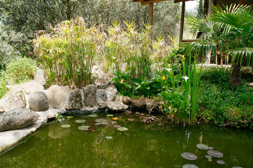 Jardín Botánico Valle del Tiétar - La Adrada