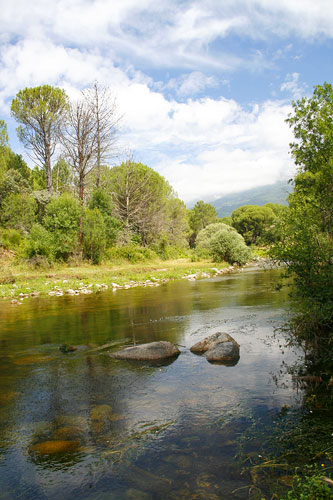 Puentes y rios Puentes y rios