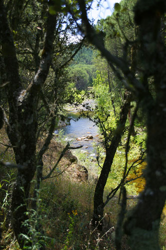 Puentes y rios Puentes y rios