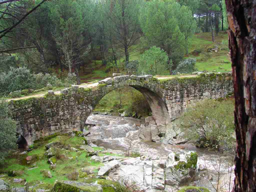 Puentes y rios Puentes y rios