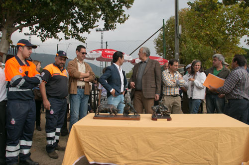 Feria de los Santos 2014 en La Adrada