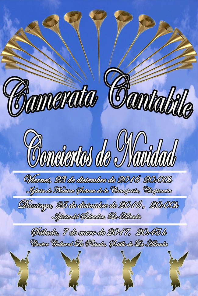 Camerata Cantabiel-Concierto de Navidad