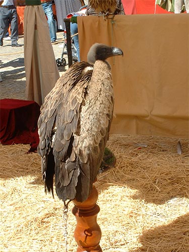 IV Mercado medieval de La Adrada IV Mercado medieval de La Adrada