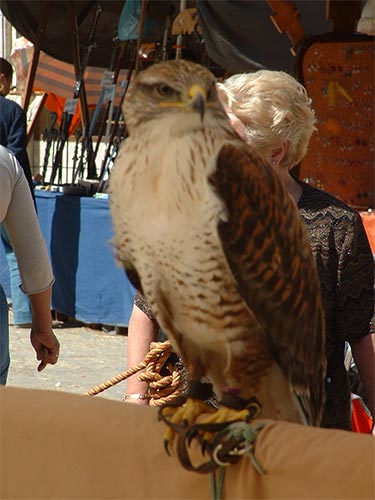 IV Mercado medieval de La Adrada IV Mercado medieval de La Adrada