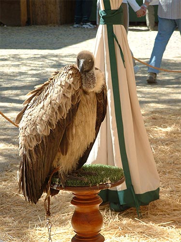 IV Mercado medieval de La Adrada IV Mercado medieval de La Adrada