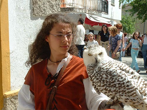 IV Mercado medieval de La Adrada IV Mercado medieval de La Adrada