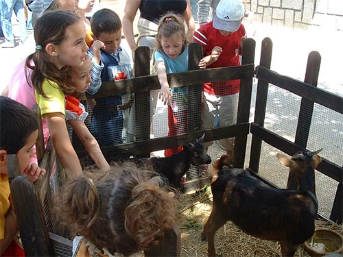 IV Mercado medieval de La Adrada IV Mercado medieval de La Adrada
