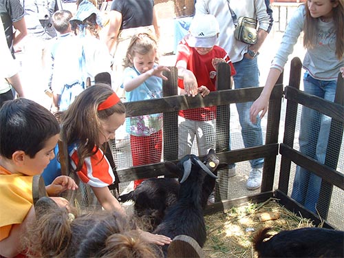 IV Mercado medieval de La Adrada IV Mercado medieval de La Adrada