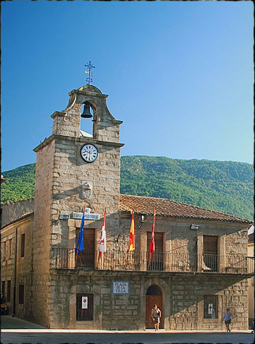 Arcas municipales