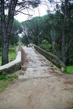 Puente Mosquea - La Adrada