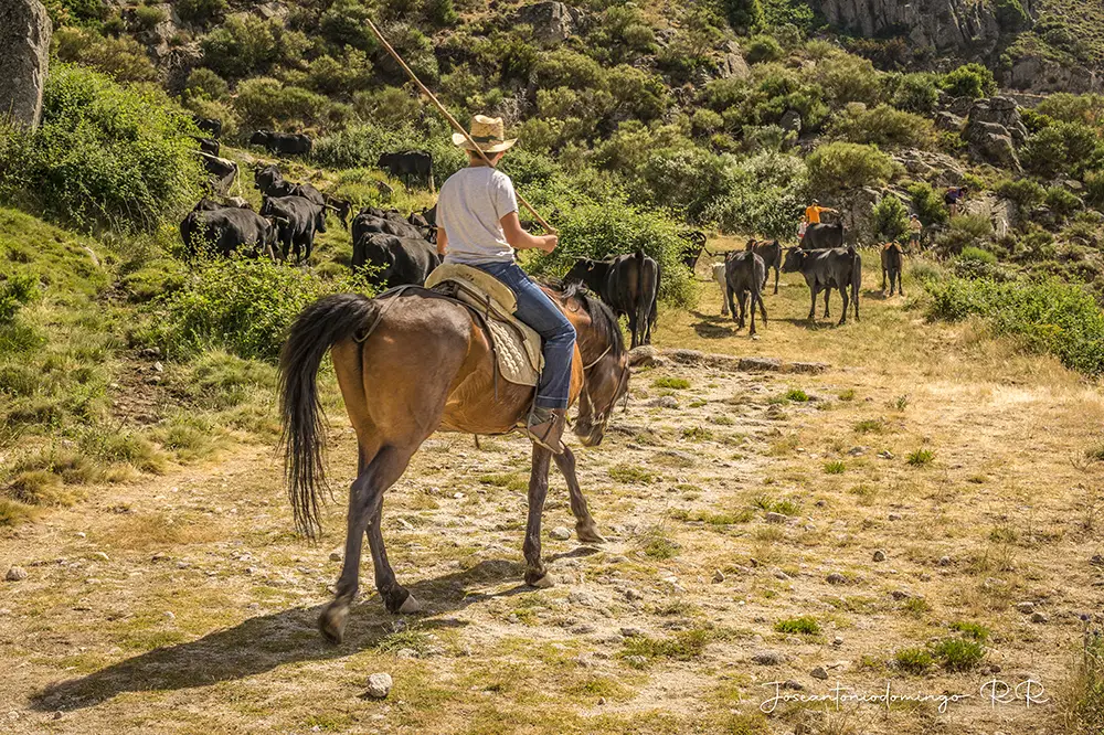 Excursión al puerto “El Pico”