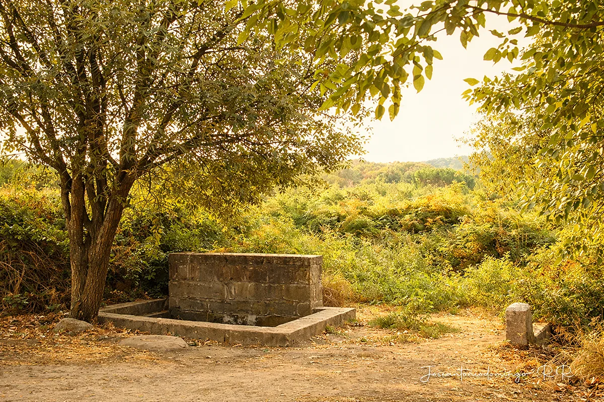 Fuente Cervera (2012)
