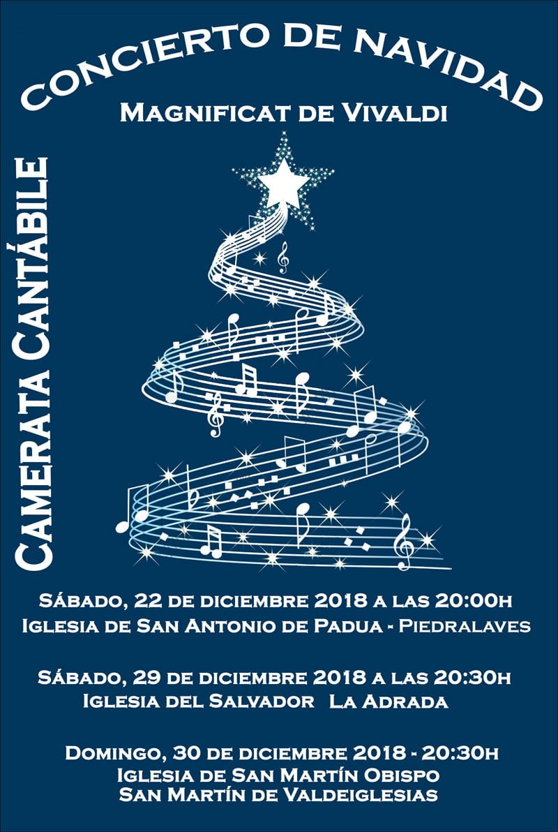 Concierto de Navidad de Camerata Cantábile.